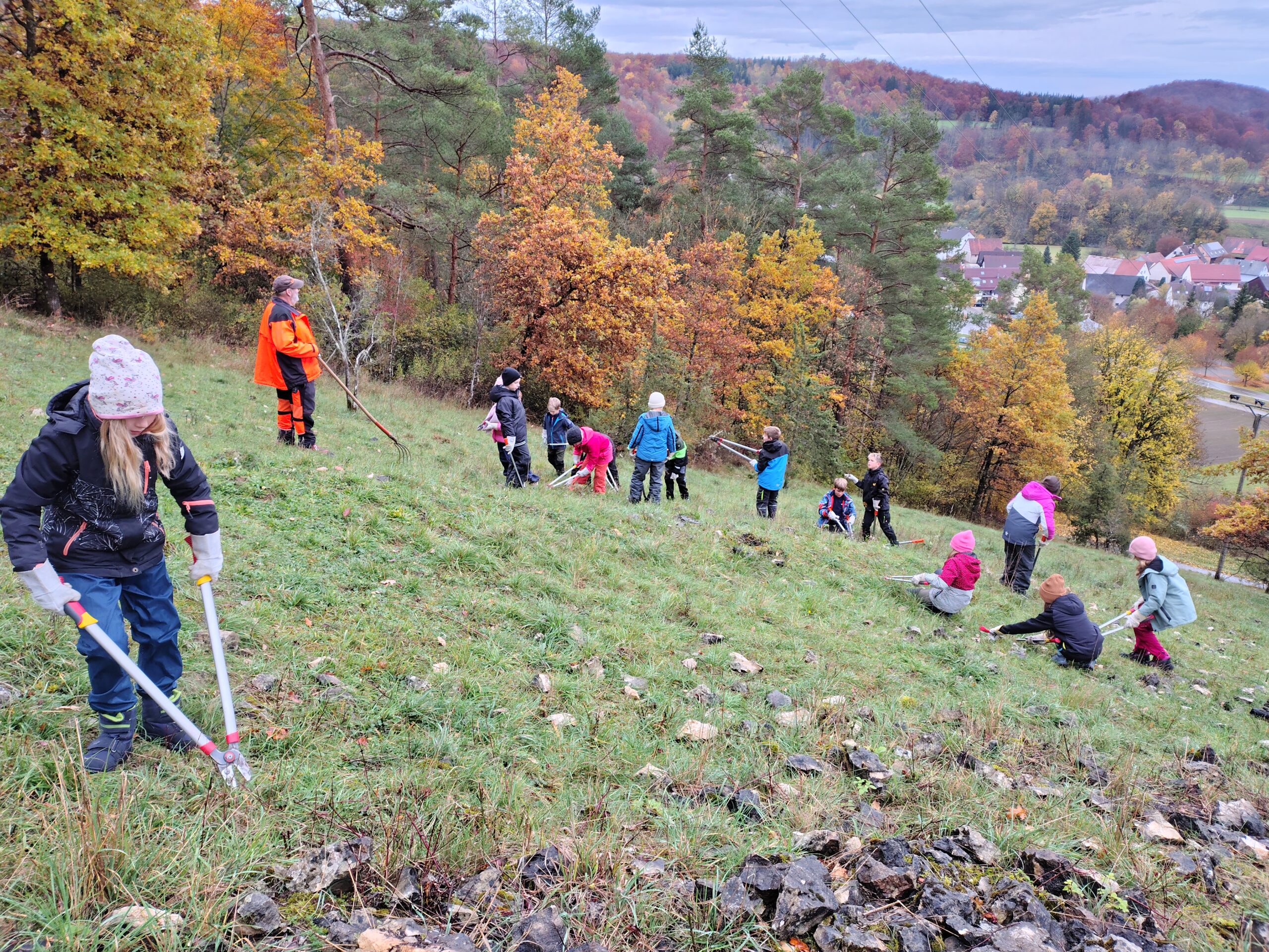 IMG_20251023_091942379_HDR