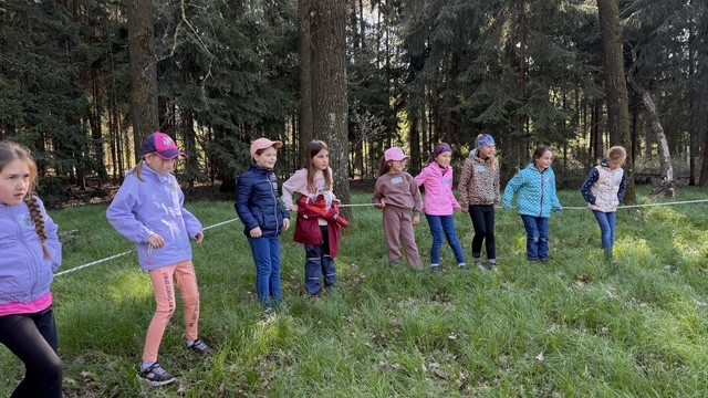 Wald 4