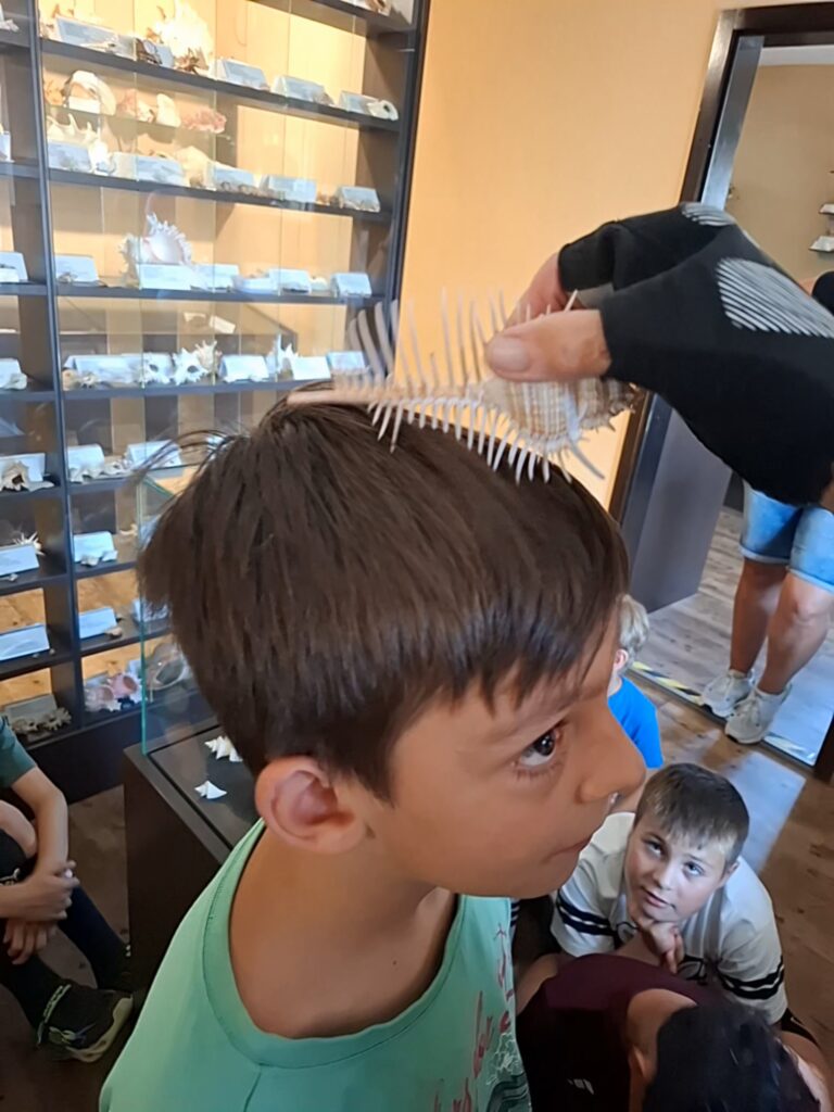 20260716_115742