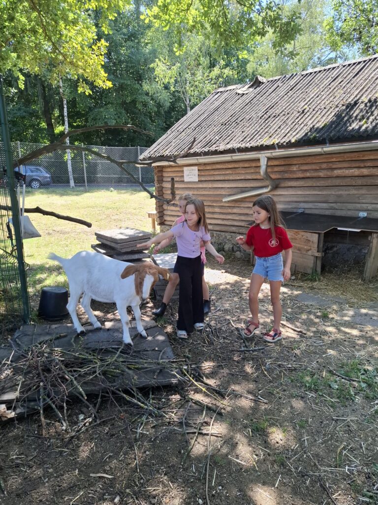 WhatsApp Image 2026-07-27 at 22.53.21 (3)