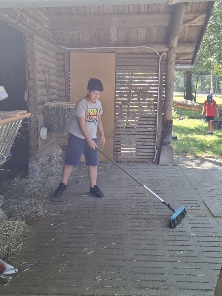 WhatsApp Image 2026-07-27 at 22.53.32 (1)