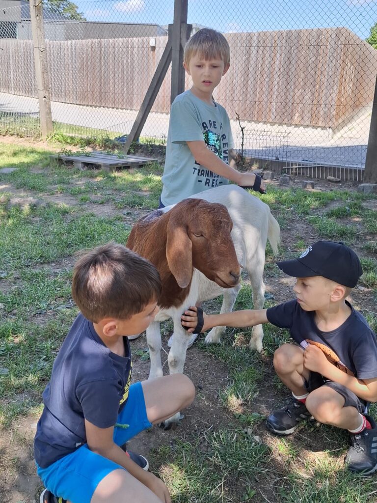 WhatsApp Image 2026-07-27 at 22.53.34 (1)